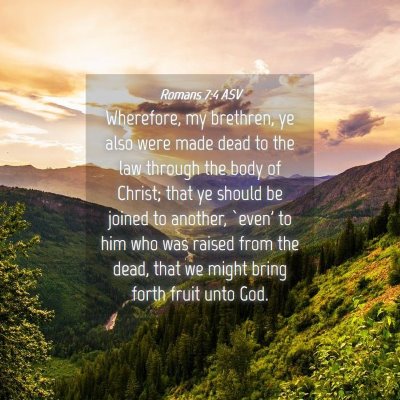 Picture 04 - Romans 7:4 ASV - Wherefore, my brethren, ye also were made dead to - Bible Verse Picture