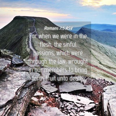 Picture 04 - Romans 7:5 ASV - For when we were in the flesh, the sinful - Bible Verse Picture