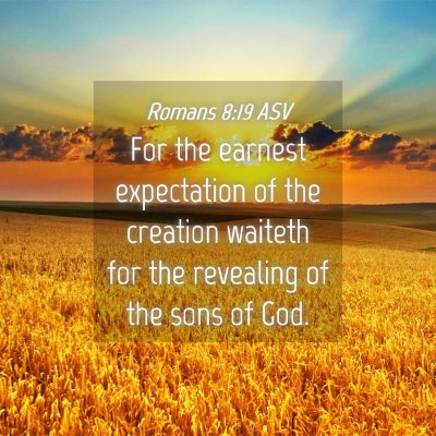 Picture 04 - Romans 8:19 ASV - For the earnest expectation of the creation - Bible Verse Picture