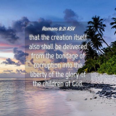 Picture 04 - Romans 8:21 ASV - that the creation itself also shall be delivered - Bible Verse Picture