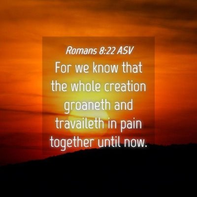Picture 04 - Romans 8:22 ASV - For we know that the whole creation groaneth and - Bible Verse Picture