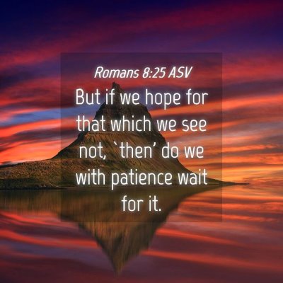 Picture 04 - Romans 8:25 ASV - But if we hope for that which we see not, `then' - Bible Verse Picture