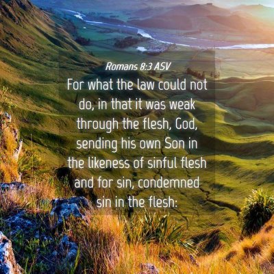 Picture 04 - Romans 8:3 ASV - For what the law could not do, in that it was - Bible Verse Picture