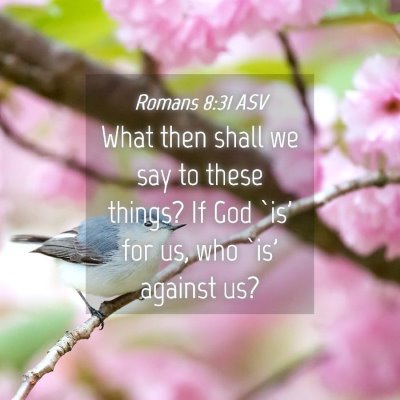 Picture 04 - Romans 8:31 ASV - What then shall we say to these things? If God - Bible Verse Picture