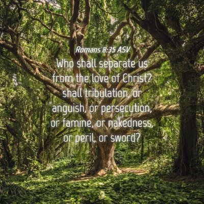Picture 04 - Romans 8:35 ASV - Who shall separate us from the love of Christ? - Bible Verse Picture
