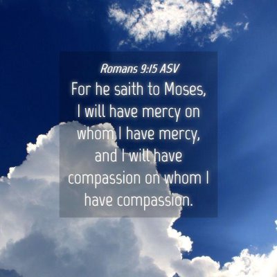 Picture 04 - Romans 9:15 ASV - For he saith to Moses, I will have mercy on whom - Bible Verse Picture