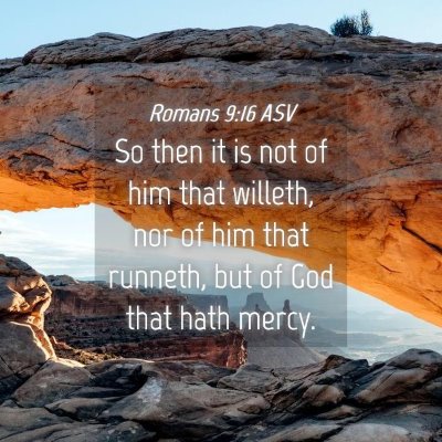 Picture 04 - Romans 9:16 ASV - So then it is not of him that willeth, nor of him - Bible Verse Picture