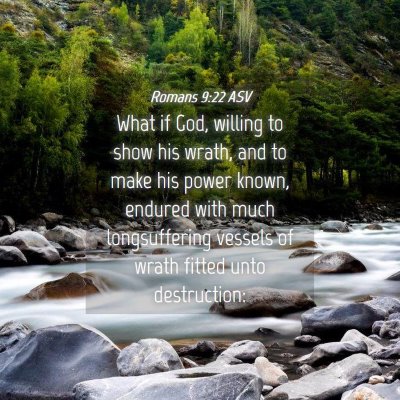 Picture 04 - Romans 9:22 ASV - What if God, willing to show his wrath, and to - Bible Verse Picture