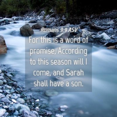 Picture 04 - Romans 9:9 ASV - For this is a word of promise, According to this - Bible Verse Picture