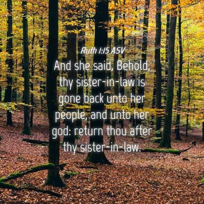 Picture 04 - Ruth 1:15 ASV - And she said, Behold, thy sister-in-law is gone - Bible Verse Picture