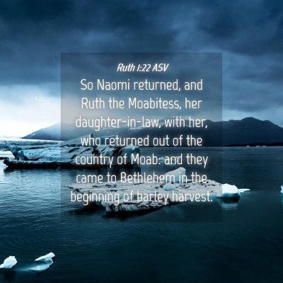 Picture 04 - Ruth 1:22 ASV - So Naomi returned, and Ruth the Moabitess, her - Bible Verse Picture