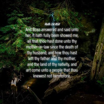 Picture 04 - Ruth 2:11 ASV - And Boaz answered and said unto her, It hath - Bible Verse Picture
