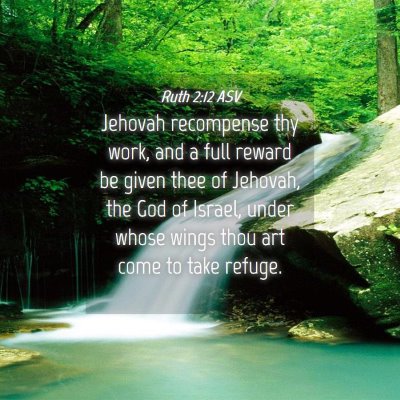 Picture 04 - Ruth 2:12 ASV - Jehovah recompense thy work, and a full reward be - Bible Verse Picture