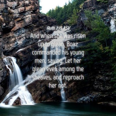 Picture 04 - Ruth 2:15 ASV - And when she was risen up to glean, Boaz - Bible Verse Picture