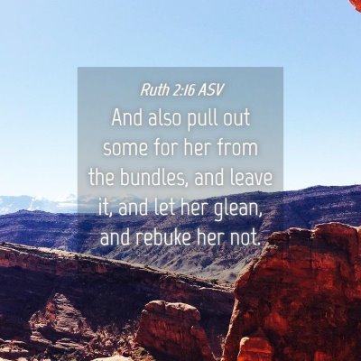 Picture 04 - Ruth 2:16 ASV - And also pull out some for her from the bundles, - Bible Verse Picture