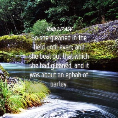Picture 04 - Ruth 2:17 ASV - So she gleaned in the field until even; and she - Bible Verse Picture