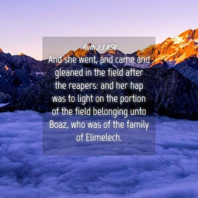 Picture 04 - Ruth 2:3 ASV - And she went, and came and gleaned in the field - Bible Verse Picture