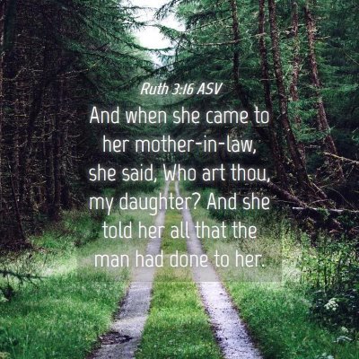 Picture 04 - Ruth 3:16 ASV - And when she came to her mother-in-law, she said, - Bible Verse Picture