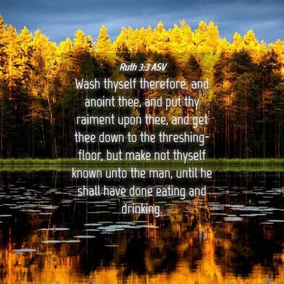 Picture 04 - Ruth 3:3 ASV - Wash thyself therefore, and anoint thee, and put - Bible Verse Picture
