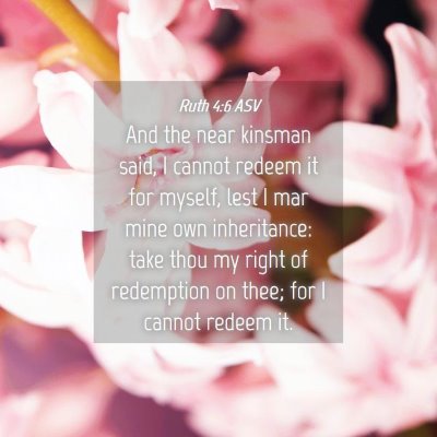 Picture 04 - Ruth 4:6 ASV - And the near kinsman said, I cannot redeem it for - Bible Verse Picture