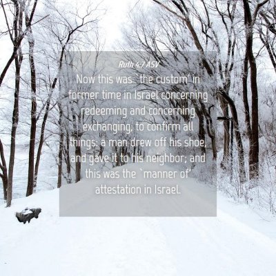 Picture 04 - Ruth 4:7 ASV - Now this was `the custom' in former time in - Bible Verse Picture