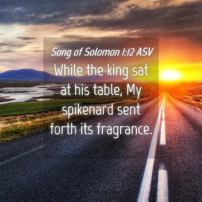 Picture 04 - Song of Solomon 1:12 ASV - While the king sat at his table, My spikenard - Bible Verse Picture