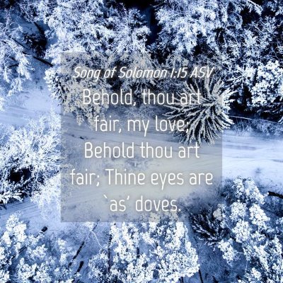 Picture 04 - Song of Solomon 1:15 ASV - Behold, thou art fair, my love; Behold thou art - Bible Verse Picture