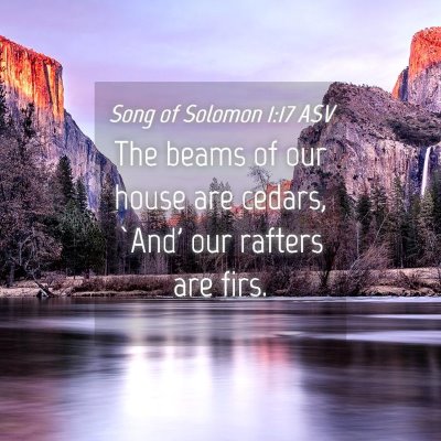 Picture 04 - Song of Solomon 1:17 ASV - The beams of our house are cedars, `And' our - Bible Verse Picture