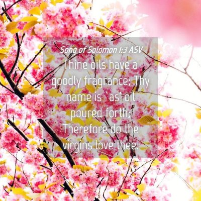 Picture 04 - Song of Solomon 1:3 ASV - Thine oils have a goodly fragrance; Thy name is - Bible Verse Picture