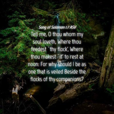 Picture 04 - Song of Solomon 1:7 ASV - Tell me, O thou whom my soul loveth, Where thou - Bible Verse Picture