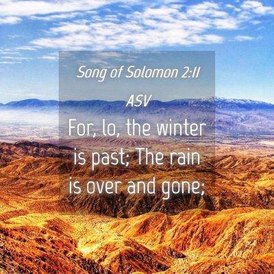 Picture 04 - Song of Solomon 2:11 ASV - For, lo, the winter is past; The rain is over and - Bible Verse Picture