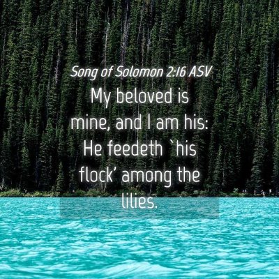 Picture 04 - Song of Solomon 2:16 ASV - My beloved is mine, and I am his: He feedeth `his - Bible Verse Picture