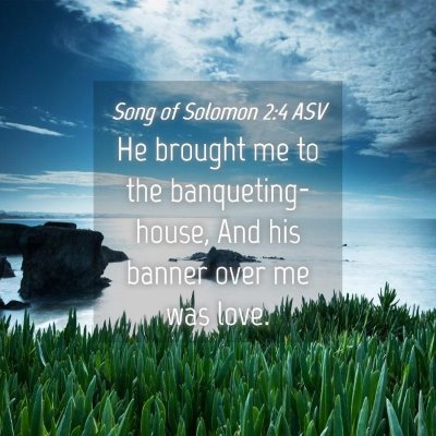 Picture 04 - Song of Solomon 2:4 ASV - He brought me to the banqueting-house, And his - Bible Verse Picture