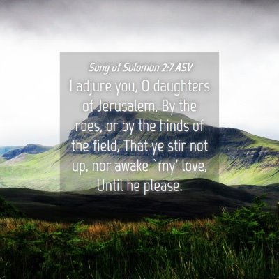 Picture 04 - Song of Solomon 2:7 ASV - I adjure you, O daughters of Jerusalem, By the - Bible Verse Picture