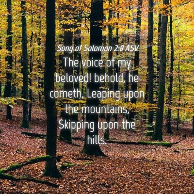 Picture 04 - Song of Solomon 2:8 ASV - The voice of my beloved! behold, he cometh, - Bible Verse Picture