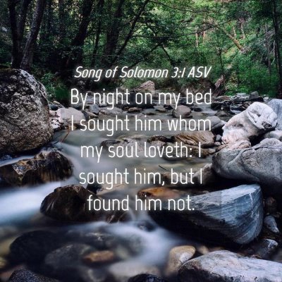 Picture 04 - Song of Solomon 3:1 ASV - By night on my bed I sought him whom my soul - Bible Verse Picture