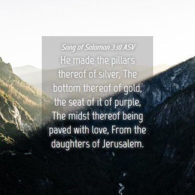Picture 04 - Song of Solomon 3:10 ASV - He made the pillars thereof of silver, The bottom - Bible Verse Picture