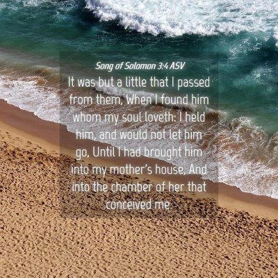 Picture 04 - Song of Solomon 3:4 ASV - It was but a little that I passed from them, When - Bible Verse Picture