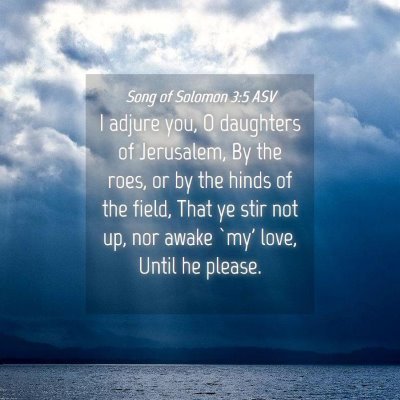 Picture 04 - Song of Solomon 3:5 ASV - I adjure you, O daughters of Jerusalem, By the - Bible Verse Picture