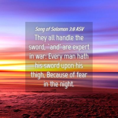 Picture 04 - Song of Solomon 3:8 ASV - They all handle the sword, `and' are expert in - Bible Verse Picture