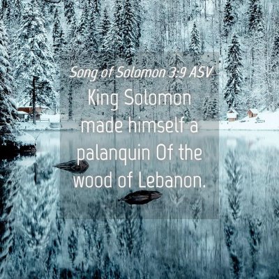 Picture 04 - Song of Solomon 3:9 ASV - King Solomon made himself a palanquin Of the wood - Bible Verse Picture