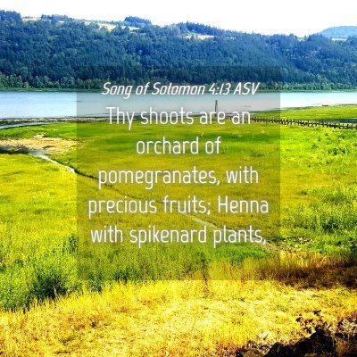 Picture 04 - Song of Solomon 4:13 ASV - Thy shoots are an orchard of pomegranates, with - Bible Verse Picture