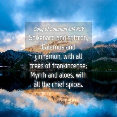 Picture 04 - Song of Solomon 4:14 ASV - Spikenard and saffron, Calamus and cinnamon, with - Bible Verse Picture