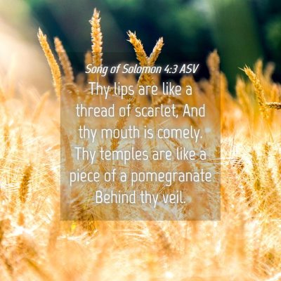 Picture 04 - Song of Solomon 4:3 ASV - Thy lips are like a thread of scarlet, And thy - Bible Verse Picture