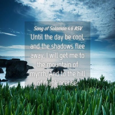 Picture 04 - Song of Solomon 4:6 ASV - Until the day be cool, and the shadows flee away, - Bible Verse Picture
