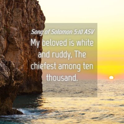Picture 04 - Song of Solomon 5:10 ASV - My beloved is white and ruddy, The chiefest among - Bible Verse Picture