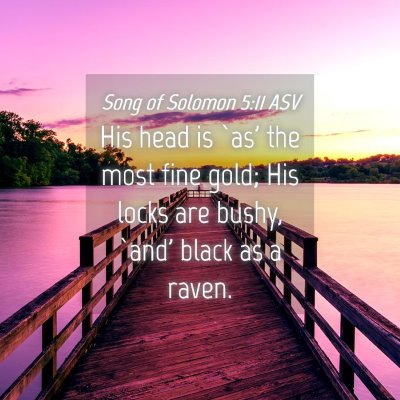 Picture 04 - Song of Solomon 5:11 ASV - His head is `as' the most fine gold; His locks - Bible Verse Picture