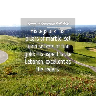 Picture 04 - Song of Solomon 5:15 ASV - His legs are `as' pillars of marble, set upon - Bible Verse Picture