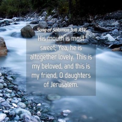 Picture 04 - Song of Solomon 5:16 ASV - His mouth is most sweet; Yea, he is altogether - Bible Verse Picture