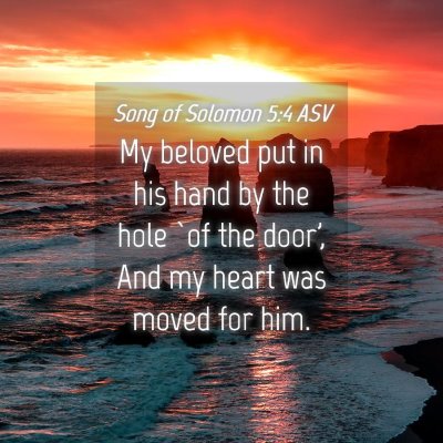 Picture 04 - Song of Solomon 5:4 ASV - My beloved put in his hand by the hole `of the - Bible Verse Picture